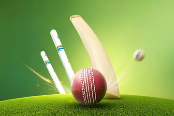 A cheerful woman in traditional clothing using her smartphone during a festive moment, showing how easily the BDJLBD app fits into everyday life.